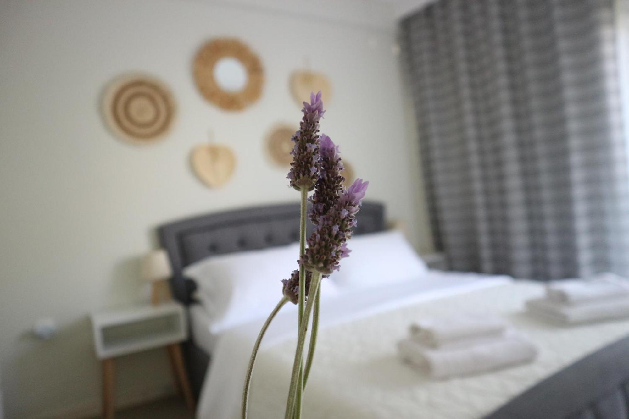 Grandma Mary'S Apartment Nea Playia エクステリア 写真